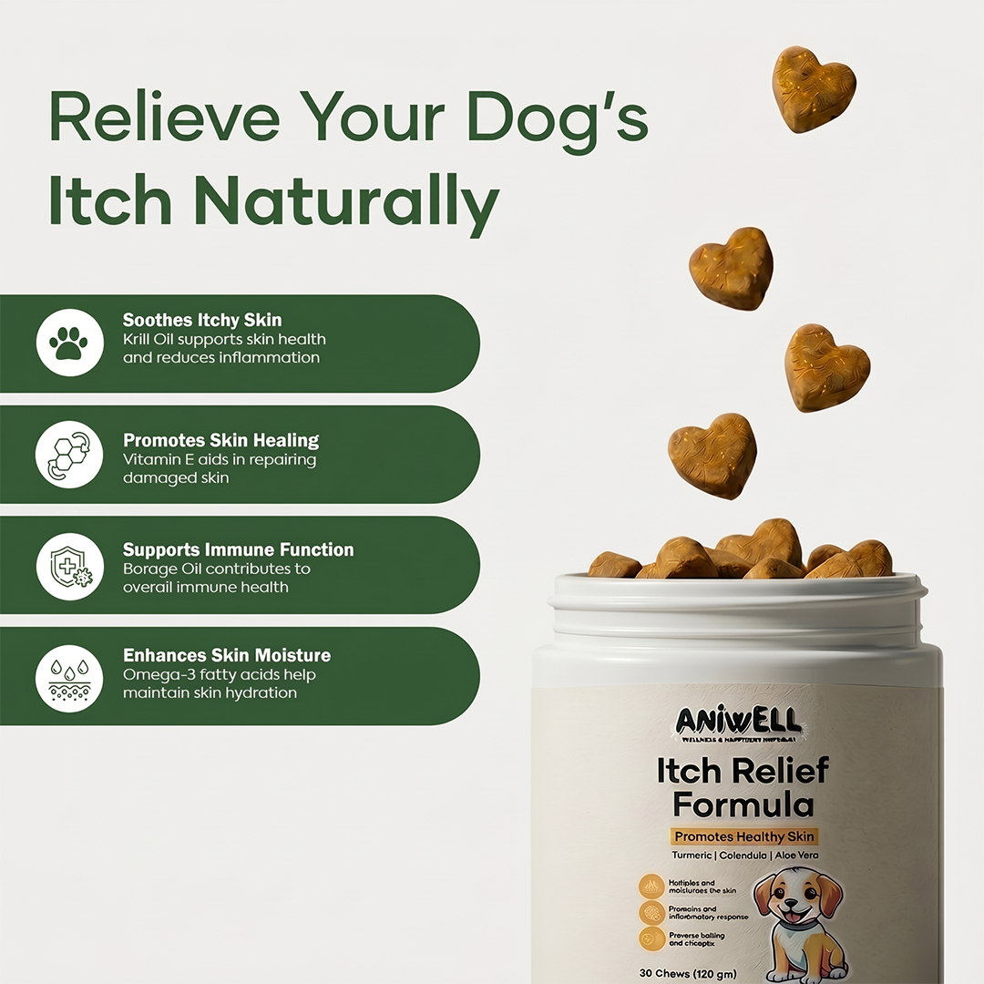 Aniwell Itch Relief Peptides Formula for Dogs