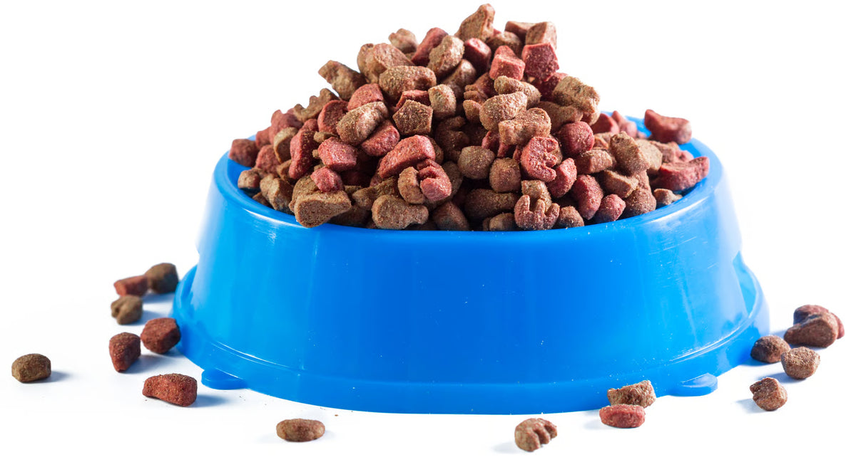 Kibble