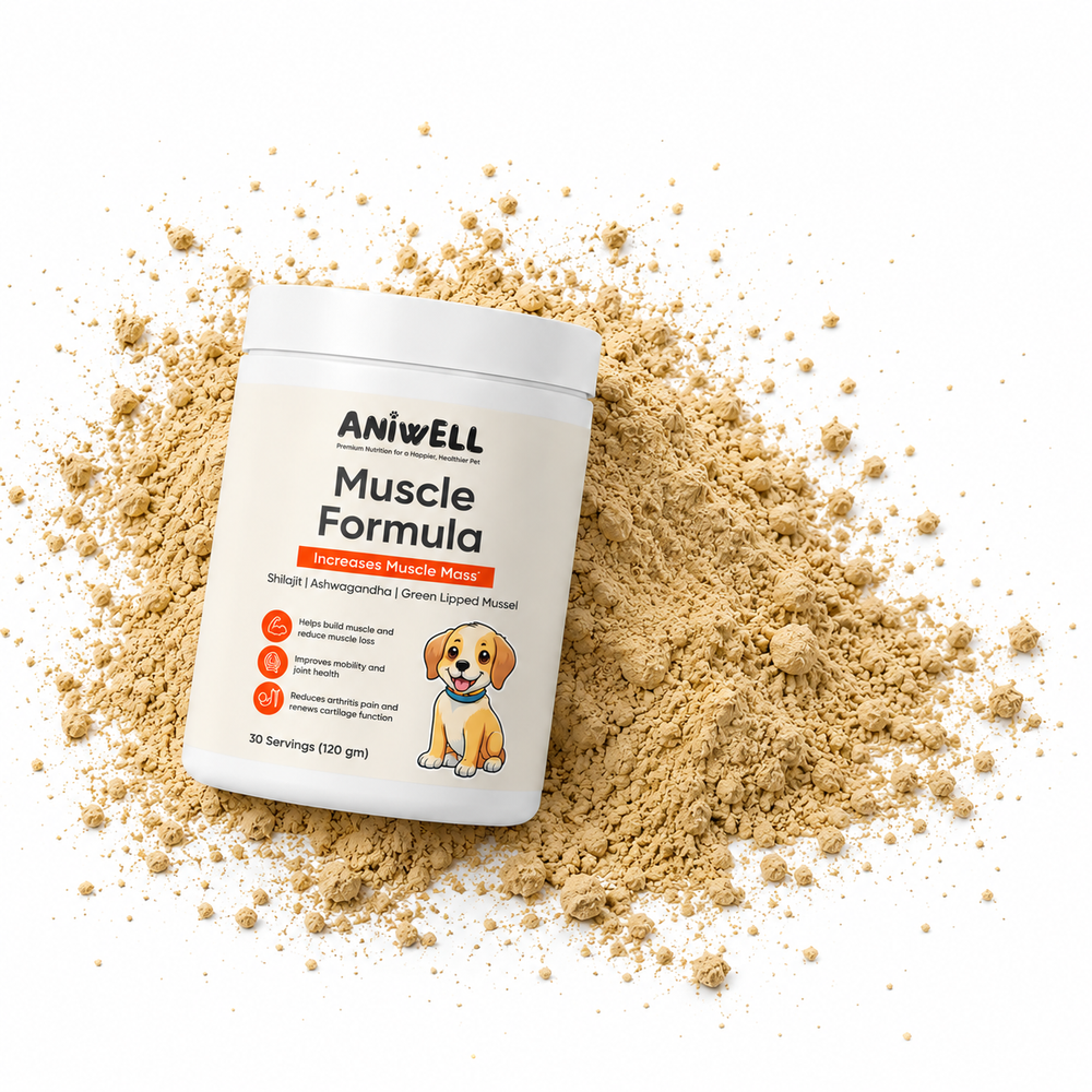 Aniwell Muscle Formula jar on a pile of the powder