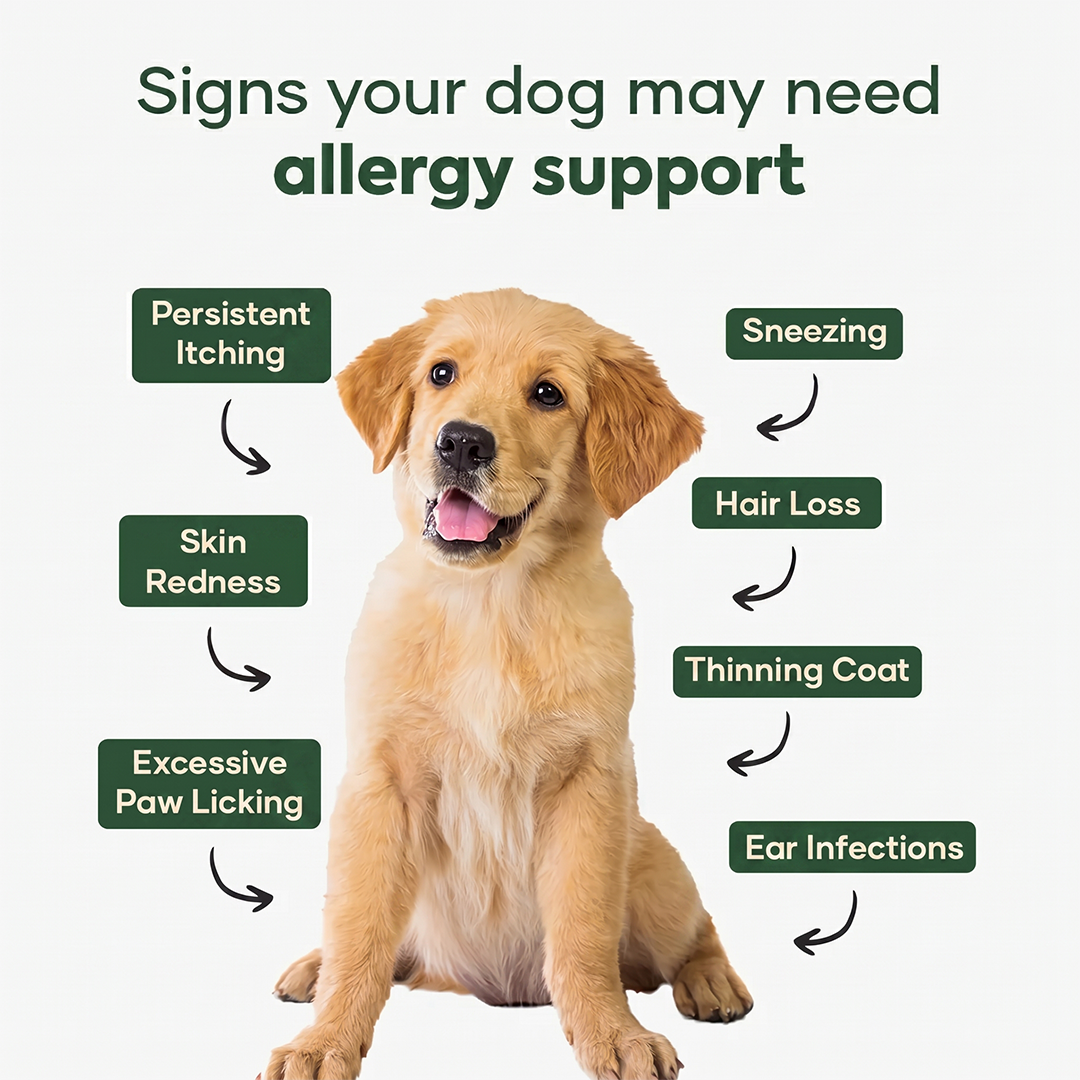 Aniwell Allergy & Immune Formula: Powered by Neem, Moringa, Turmeric