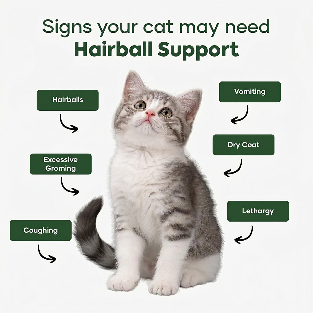 Aniwell Hairball Formula – Hairball Management with Omega-3s & Biotin for Cats