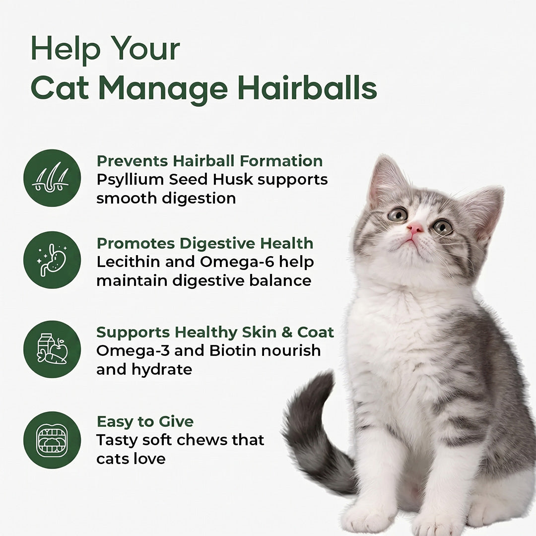 Aniwell Hairball Formula – Hairball Management with Omega-3s & Biotin for Cats