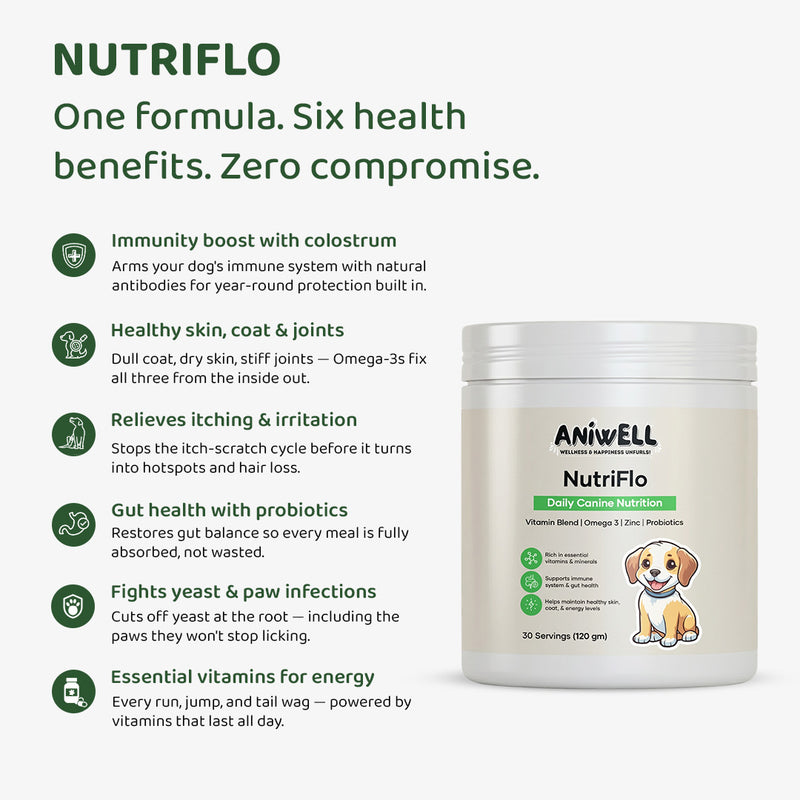NutriFlo: Premium Dog Multivitamin