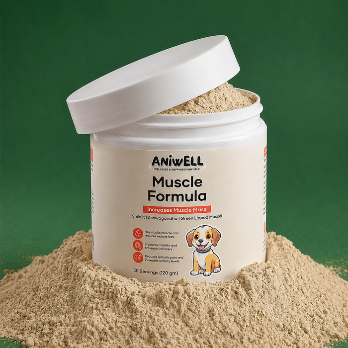 Aniwell Muscle Formula- Muscle, Hip & Joint Supplement for Dogs: Powered by Shilajit , Ashwagandha , Green Lipped Mussel