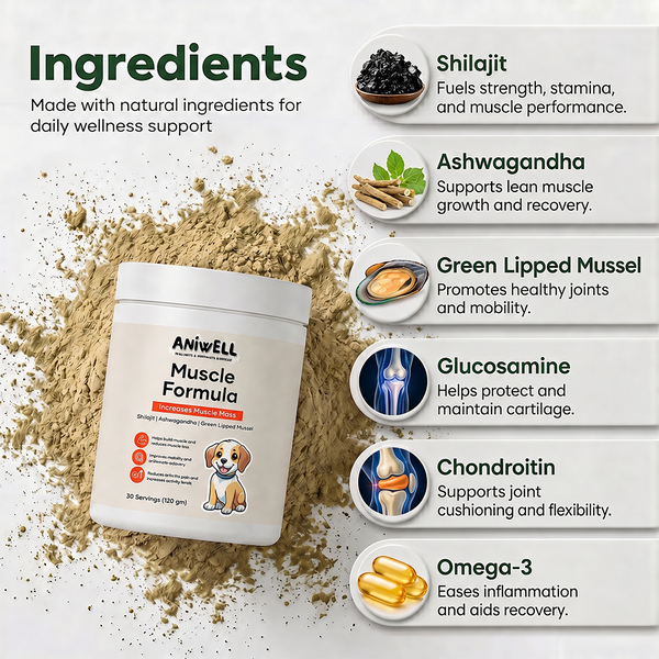Aniwell Muscle Formula- Muscle, Hip & Joint Supplement for Dogs: Powered by Shilajit , Ashwagandha , Green Lipped Mussel