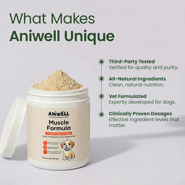 Aniwell Muscle Formula- Muscle, Hip & Joint Supplement for Dogs: Powered by Shilajit , Ashwagandha , Green Lipped Mussel