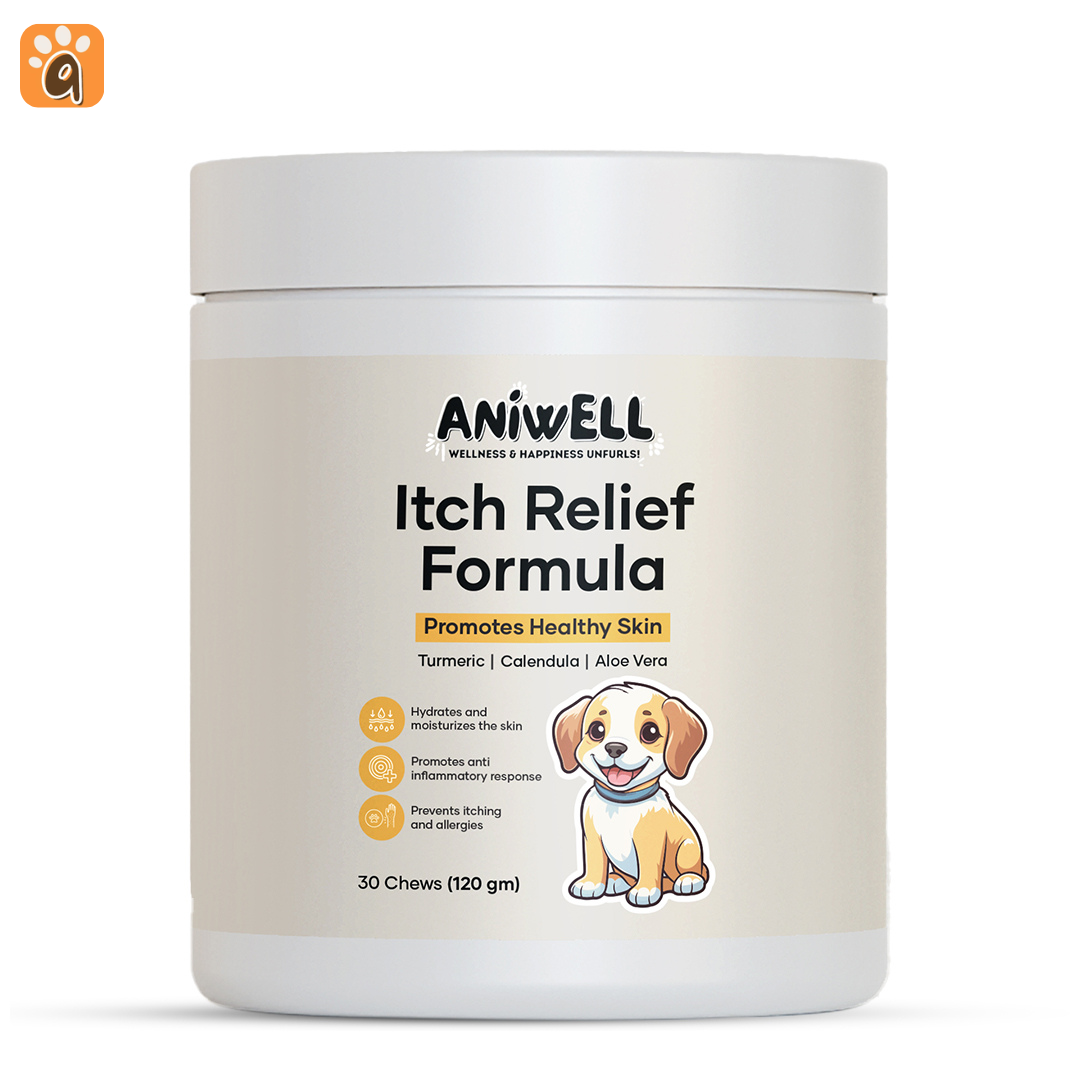 Aniwell Itch Relief Formula: A Turmeric & Vitamin E Booster For Hot Spots, Dermatitis, Yeast & Ear Infection, & Allergies