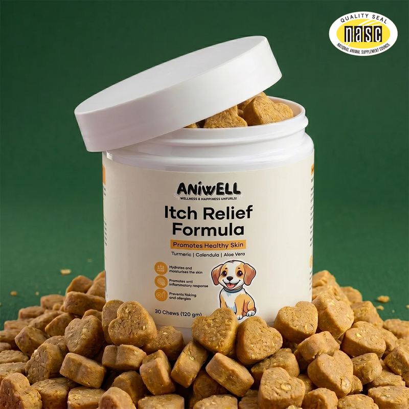 Aniwell Itch Relief Formula: A Turmeric & Vitamin E Booster For Hot Spots, Dermatitis, Yeast & Ear Infection, & Allergies