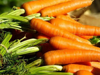 Carrots